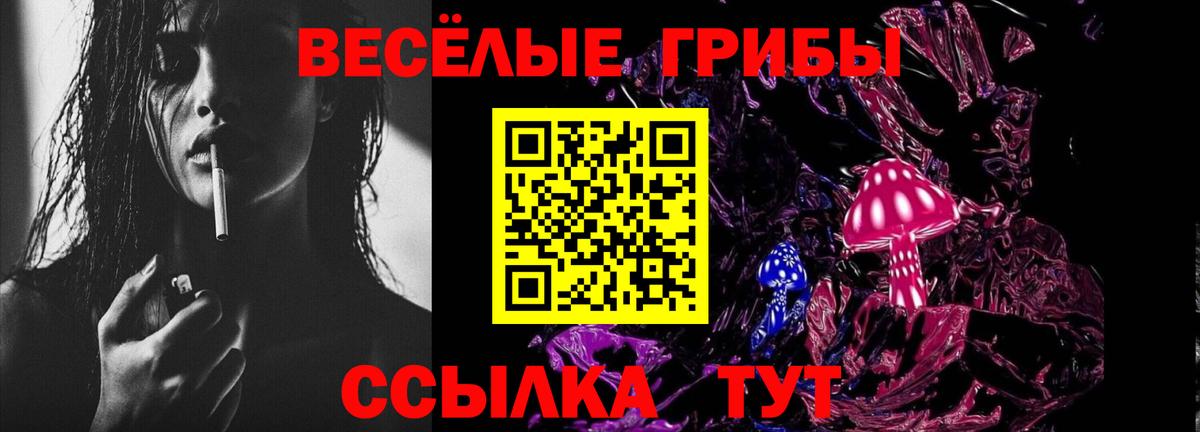 Галлюциногенные грибы Psilocybine cubensis Сунжа